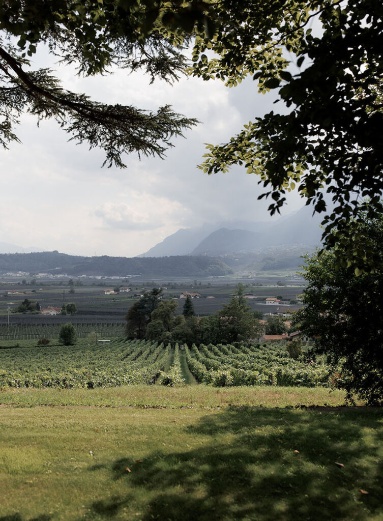 Matrimonio classico e romantico vicino a Bolzano fra i vigneti dell'Alto Adige